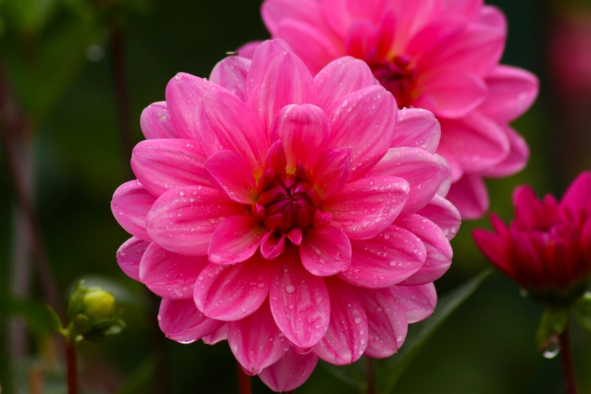 Доброе утро - Юрий. Шмаков