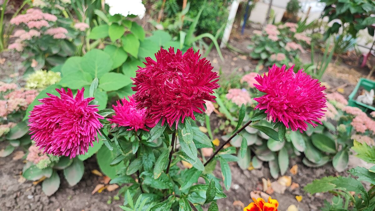 ,,, - Сергей Тимоновский