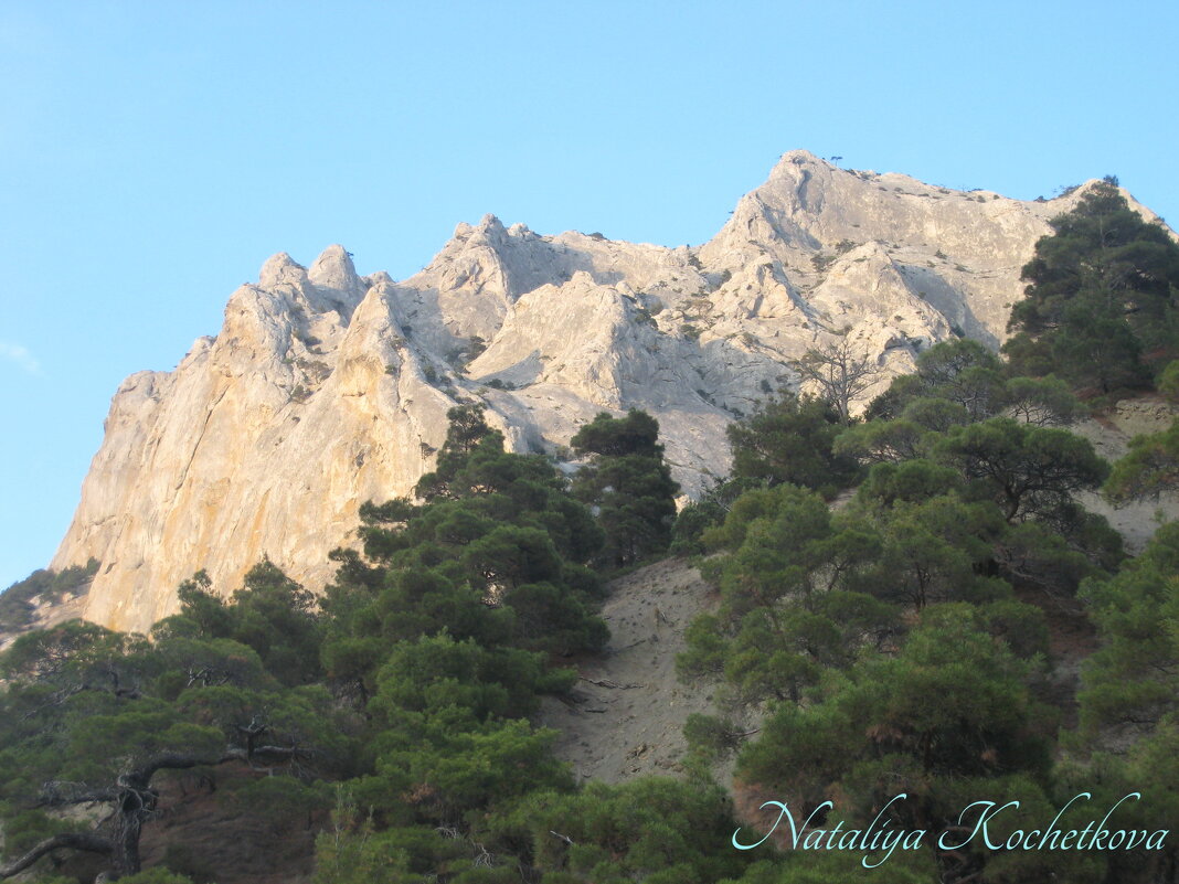 Природа Крыма - Amazing Cosmea