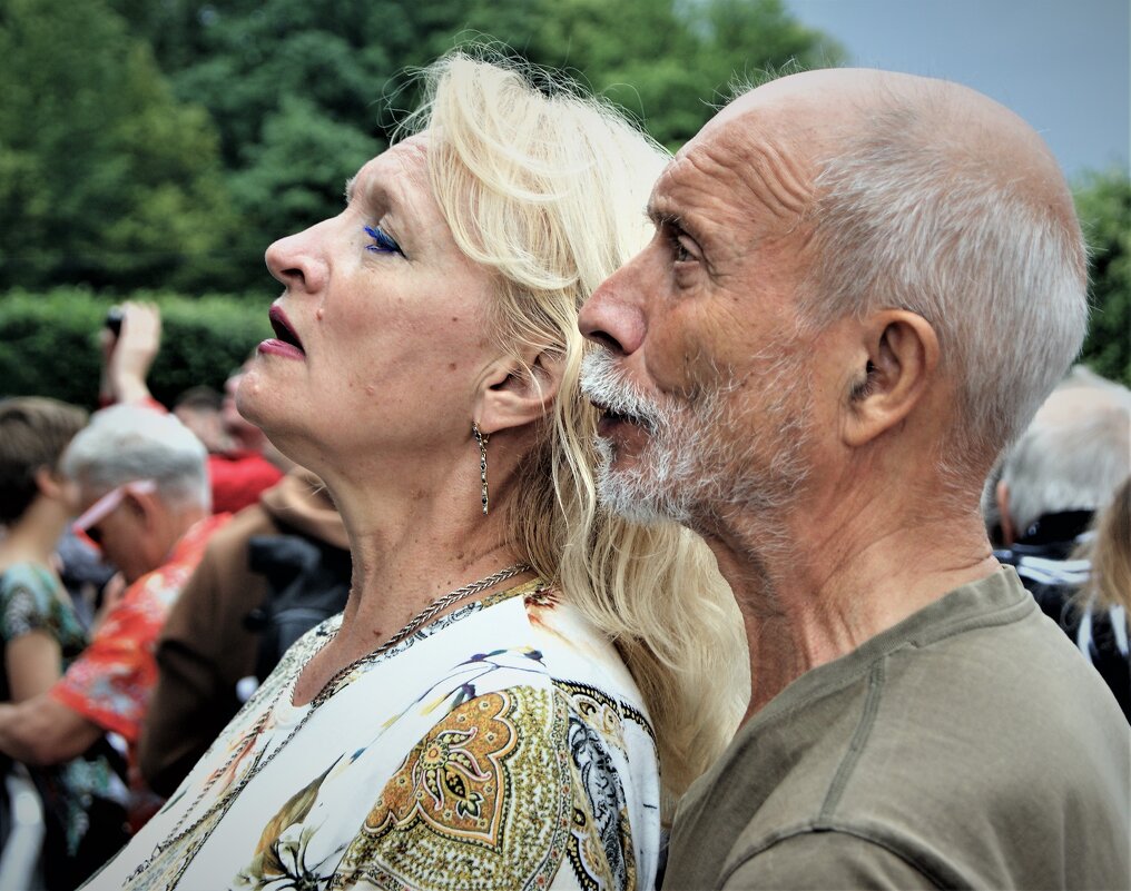 *** - Виктор Никитенко