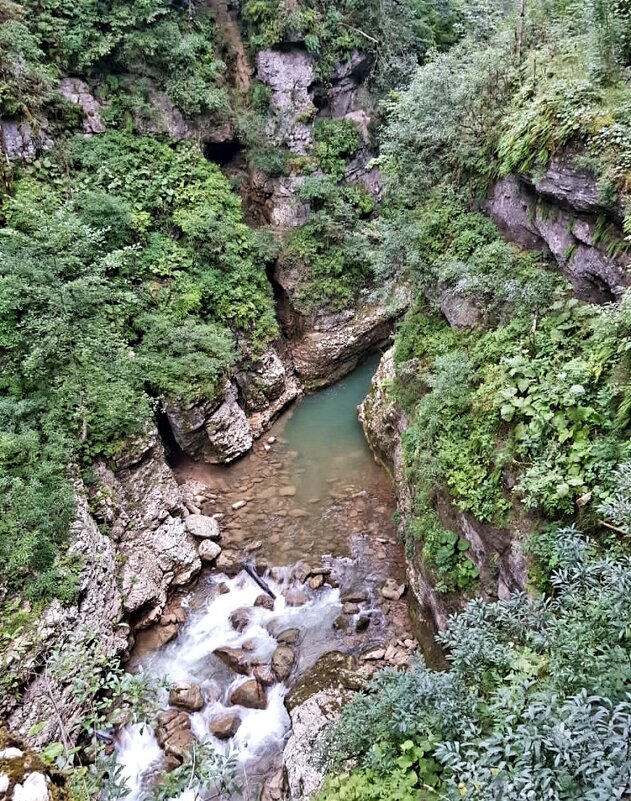 ГУАМСКОЕ УЩЕЛЬЕ - Tata Wolf