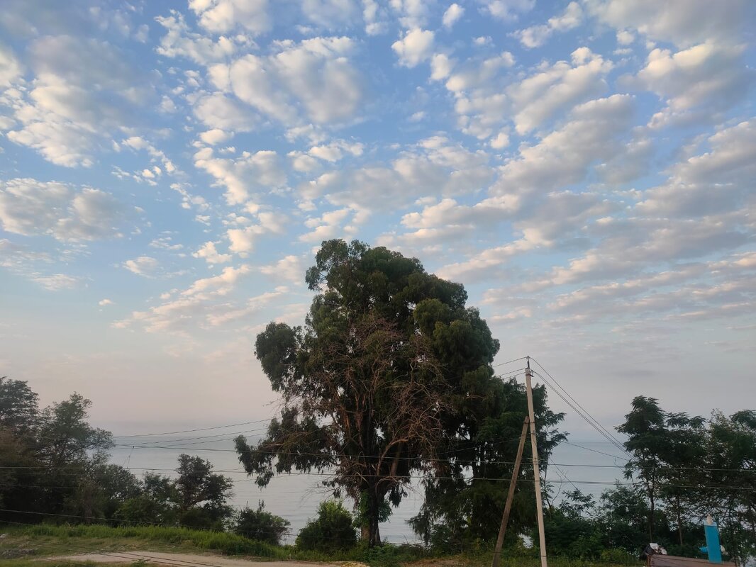 В Новом Афоне - Ирэн 