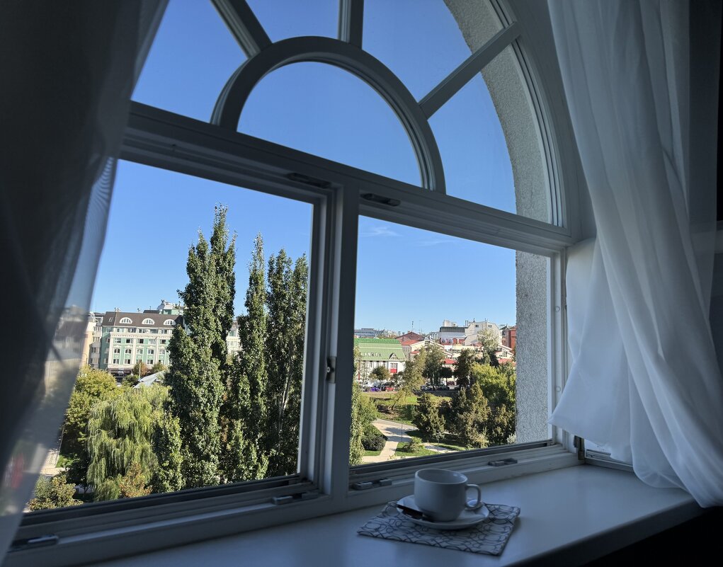 Южные тополя - Анна Камс