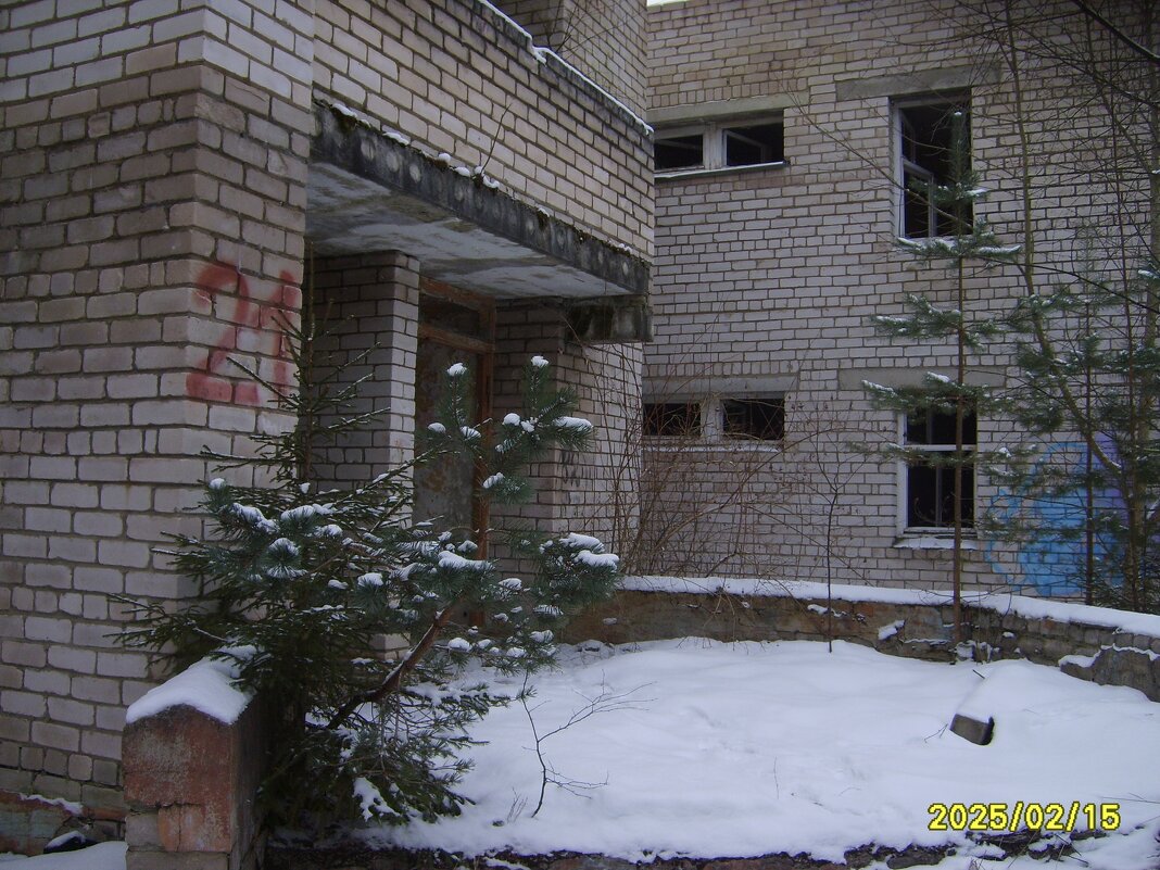 заброшка - fogmeadowww m