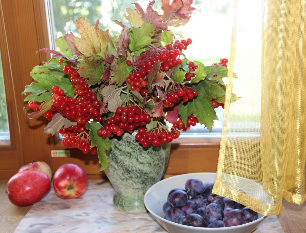 Мой дом. - Венера Чуйкова