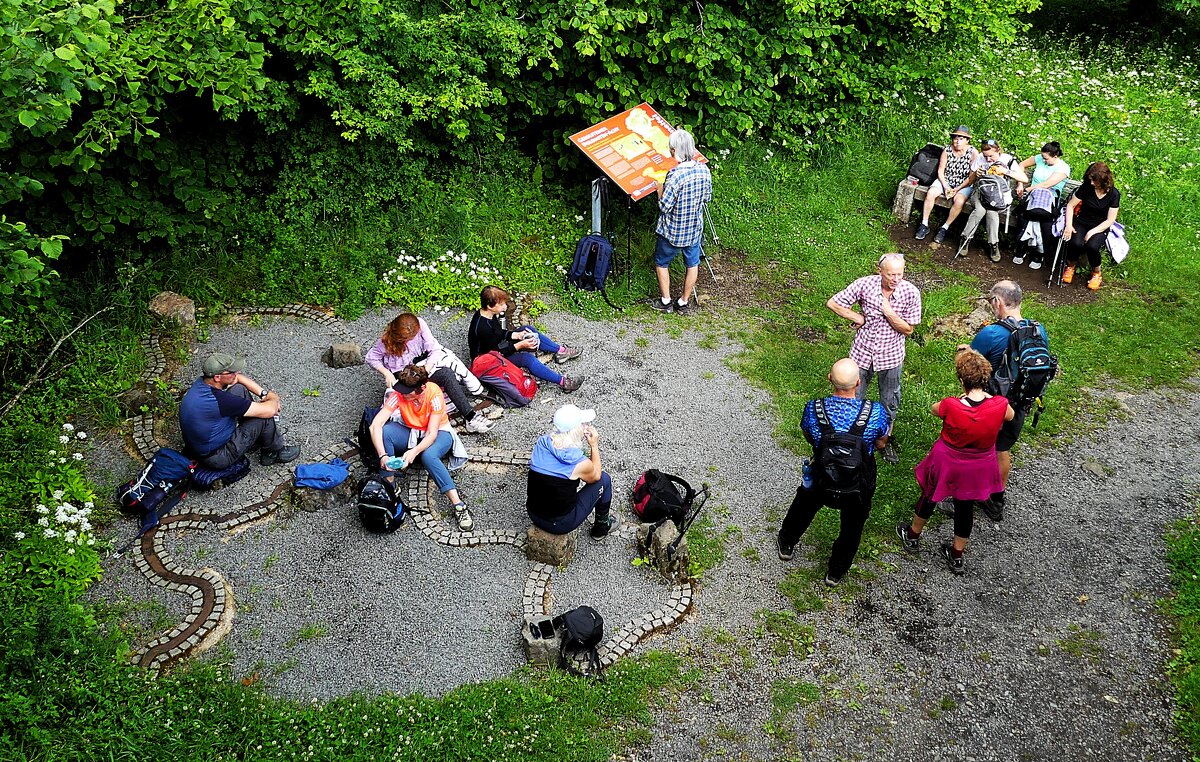 Привал - Владимир Манкер