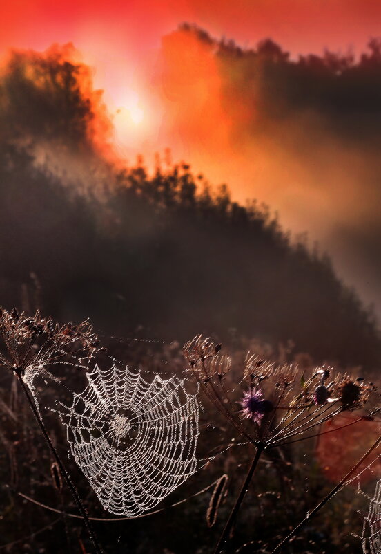 Утро 10 сентября - Михаил Бибичков