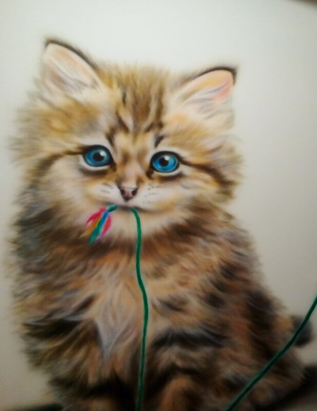 котик - Владимир 