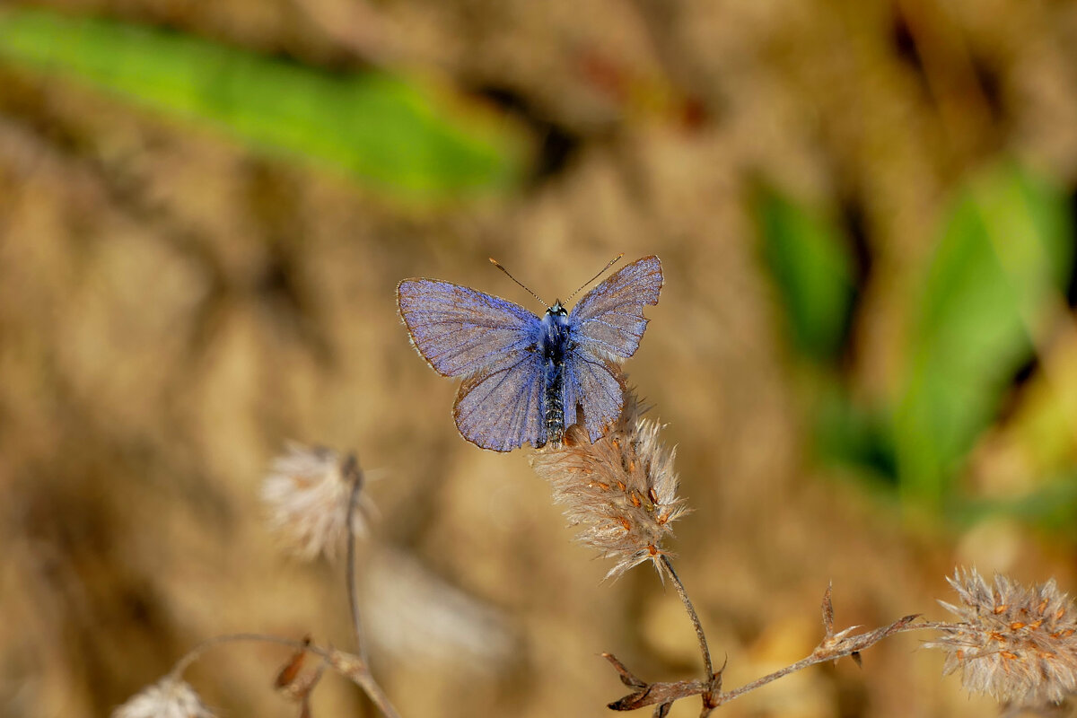 из вчерашней съёмки 2 - Александр Прокудин из вчерашней съёмки 2 - Александр Прокудин