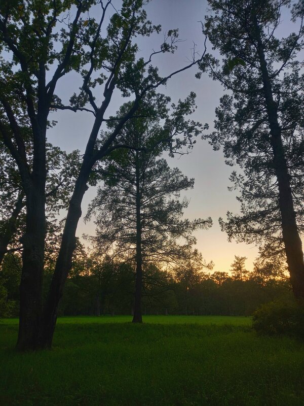 Закат - Сапсан 