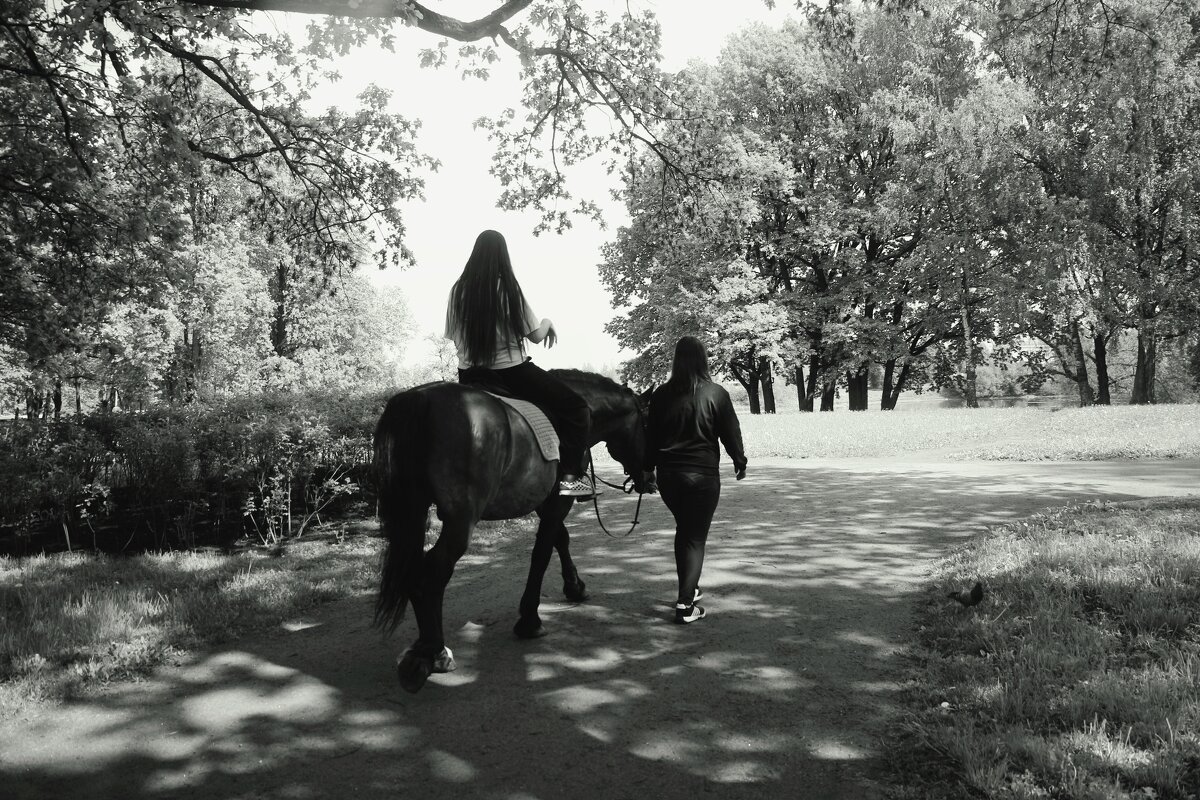 Орловский парк - Наталья Герасимова Орловский парк - Наталья Герасимова