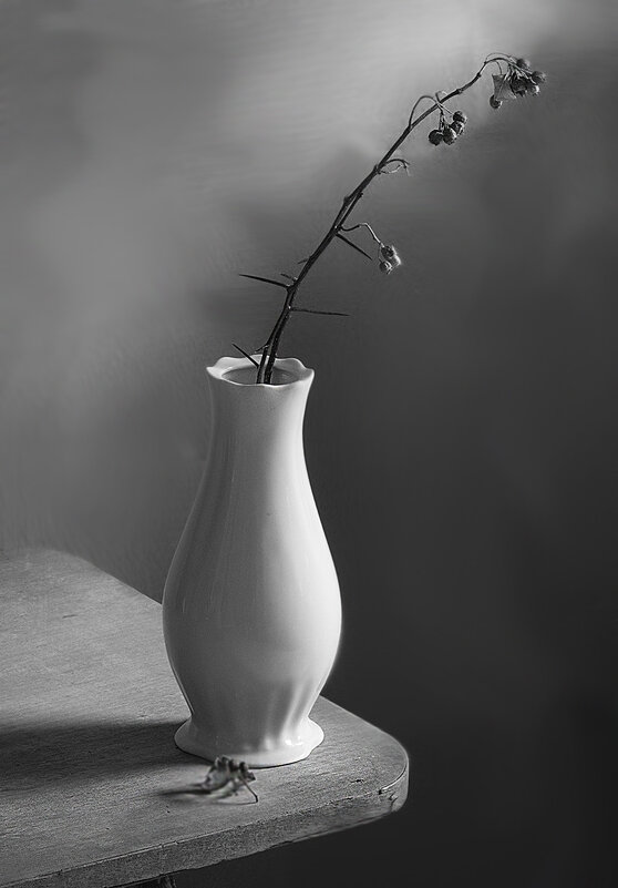 Веточка боярышника - Наталья S