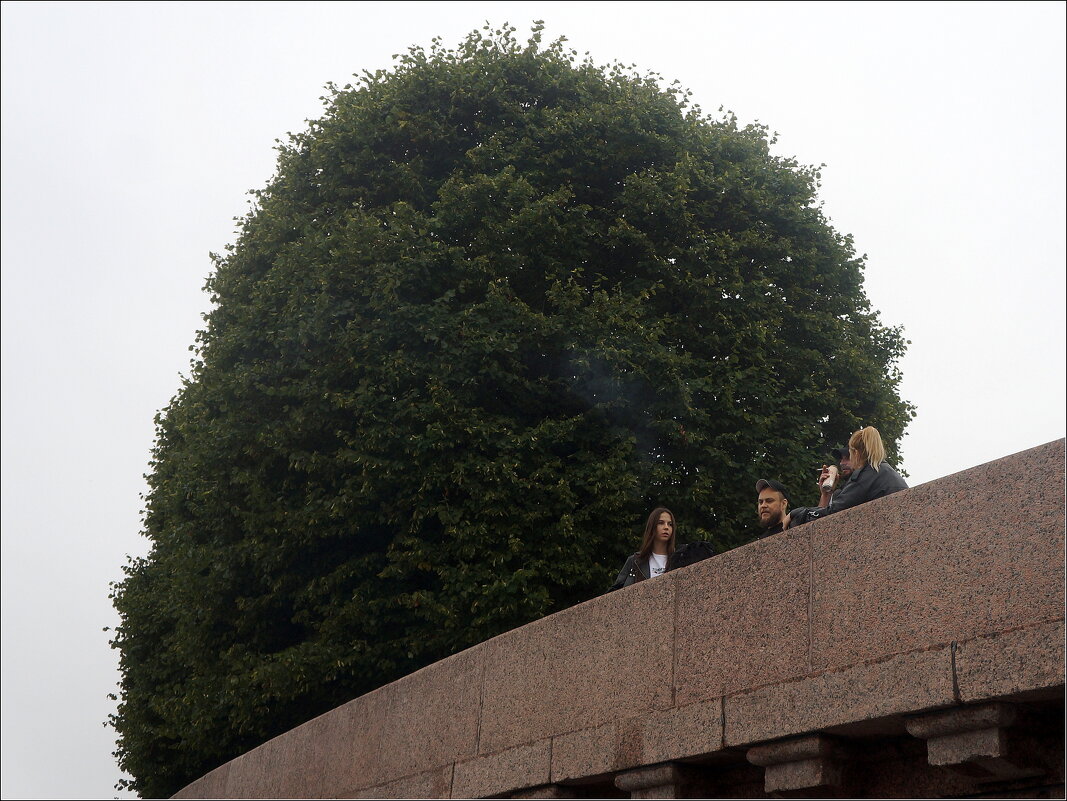 пришли на стрелку - zavitok * пришли на стрелку - zavitok *