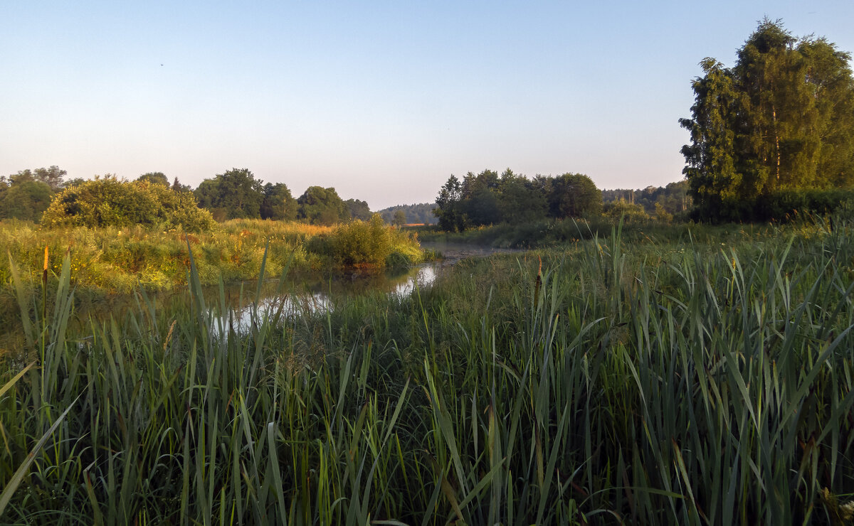 Раннее утро - Сергей Цветков