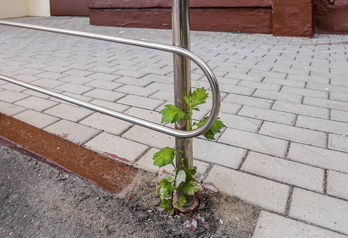 Подружились - Валерий Иванович