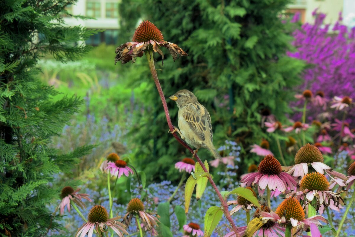 Под зонтиком. - Татьяна Помогалова