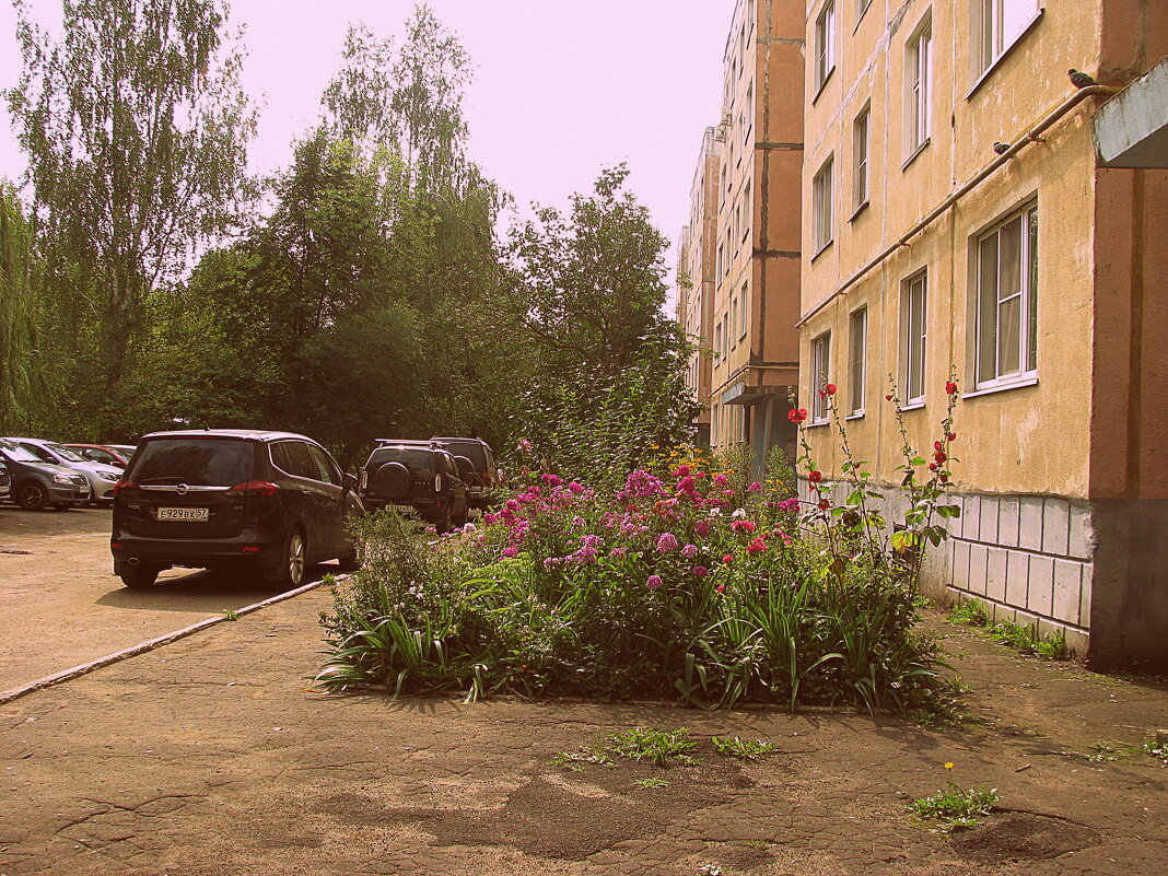 Лето. - Владимир Драгунский