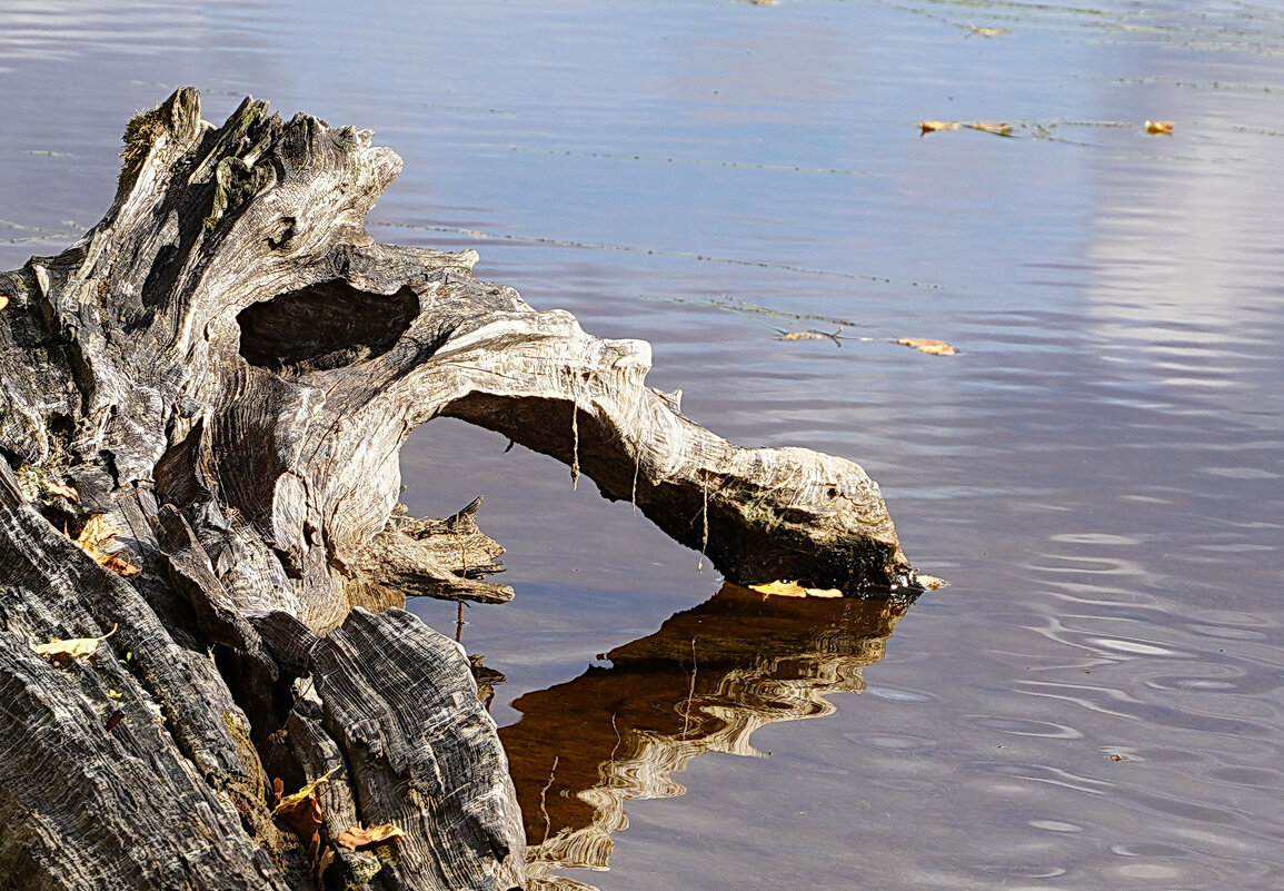 Жажда - Галина Кан Жажда - Галина Кан