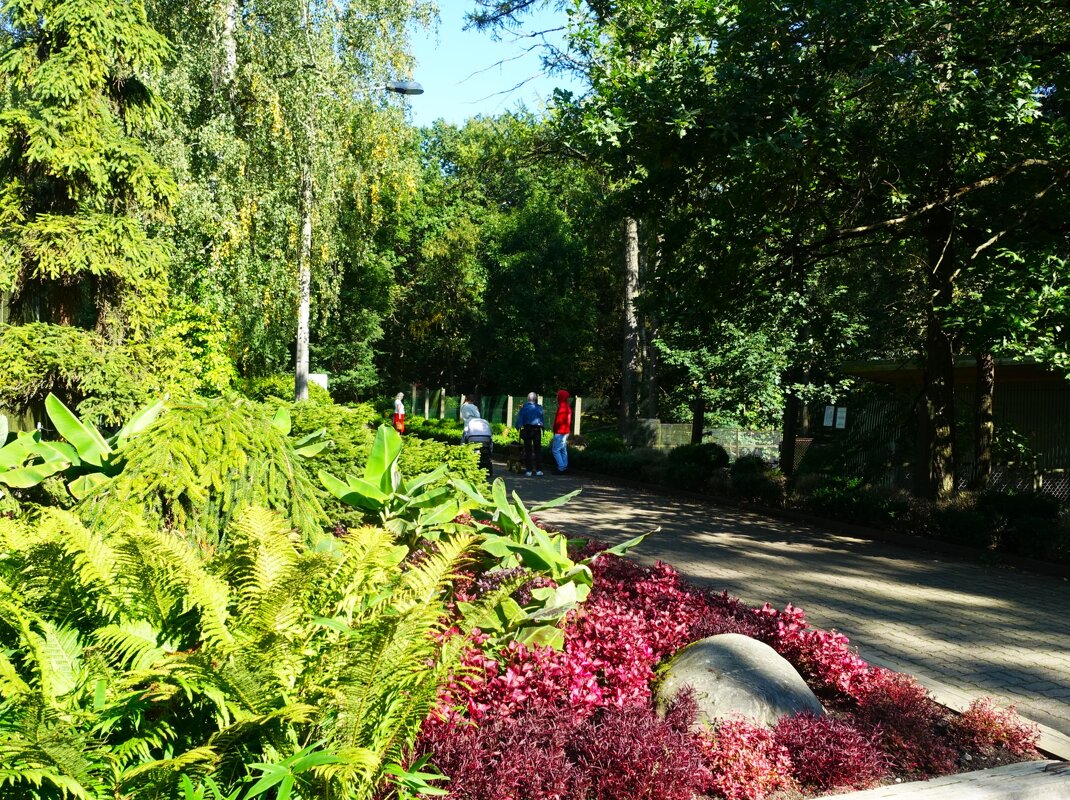 Дорожками Таллинского зоопарка - Aida10 