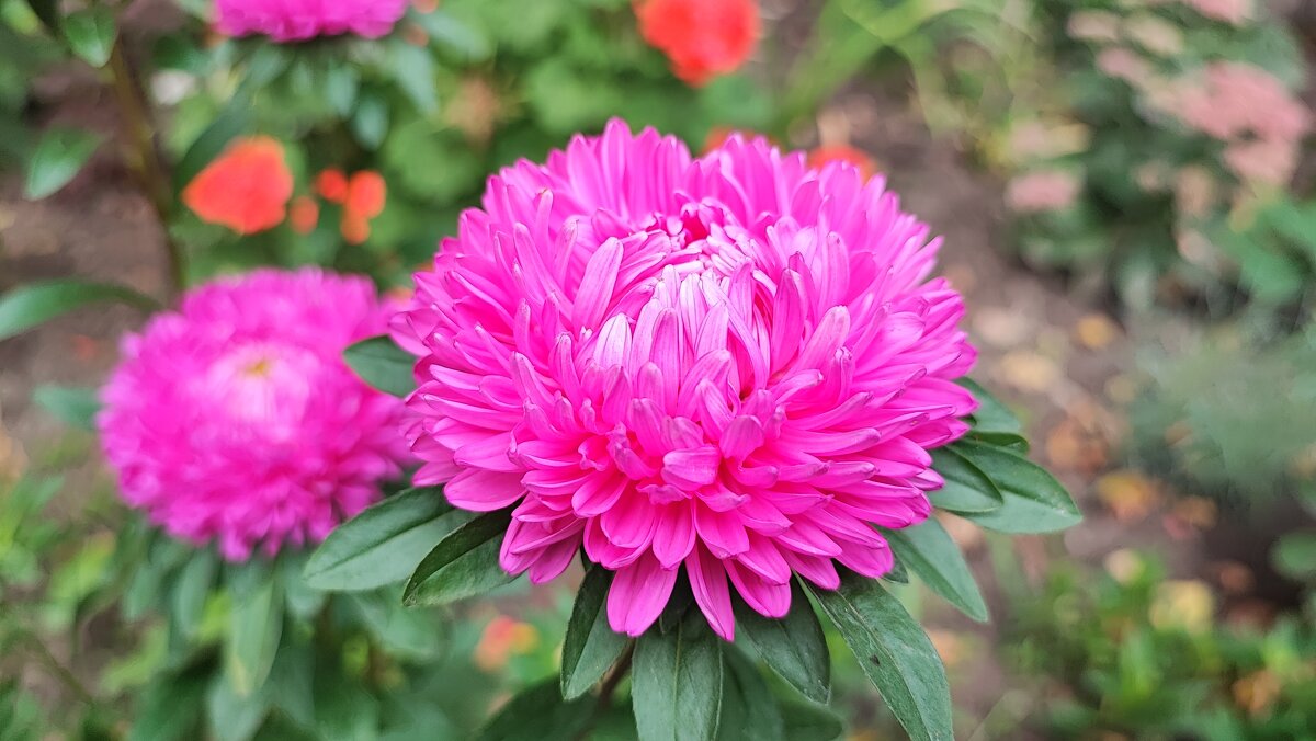 ,,, - Сергей Тимоновский