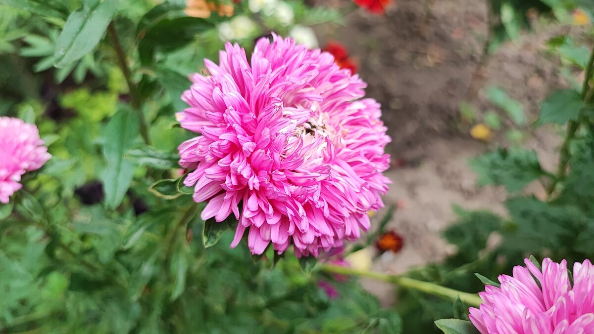 ,,, - Сергей Тимоновский