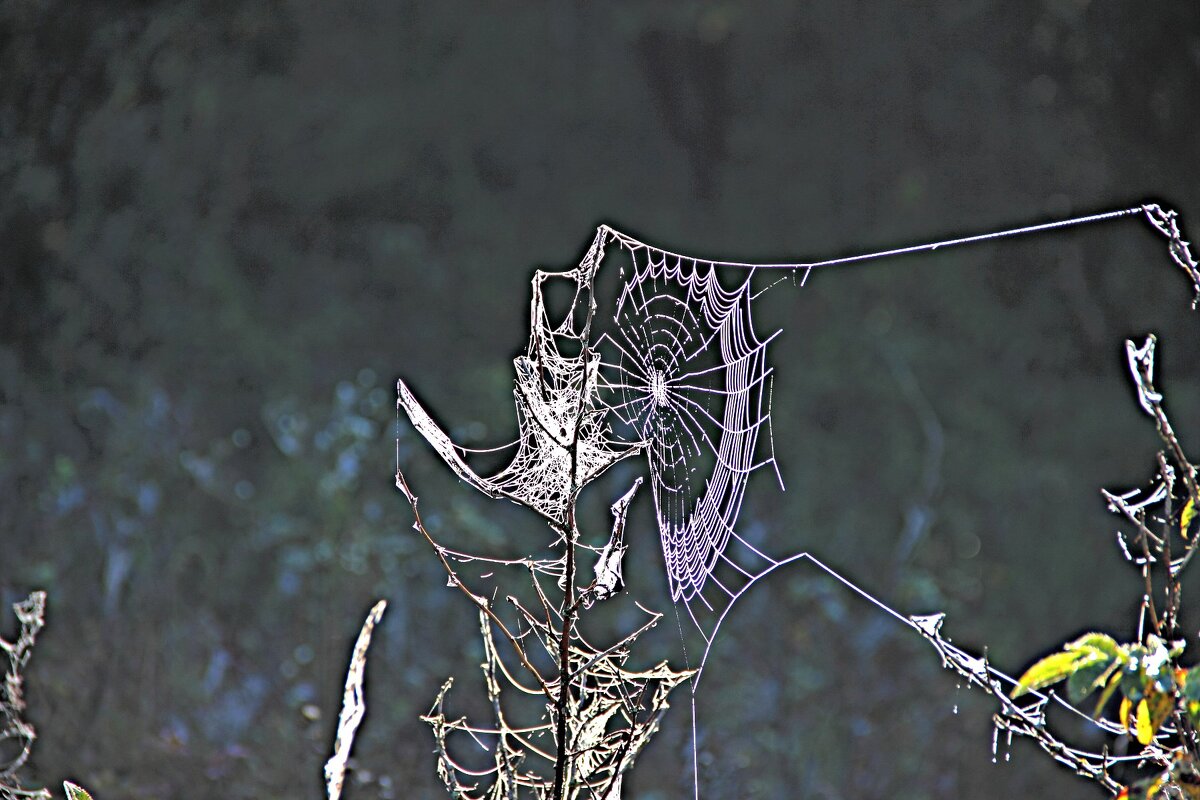 Парус! Порвали парус! ... - Евгений Корьевщиков