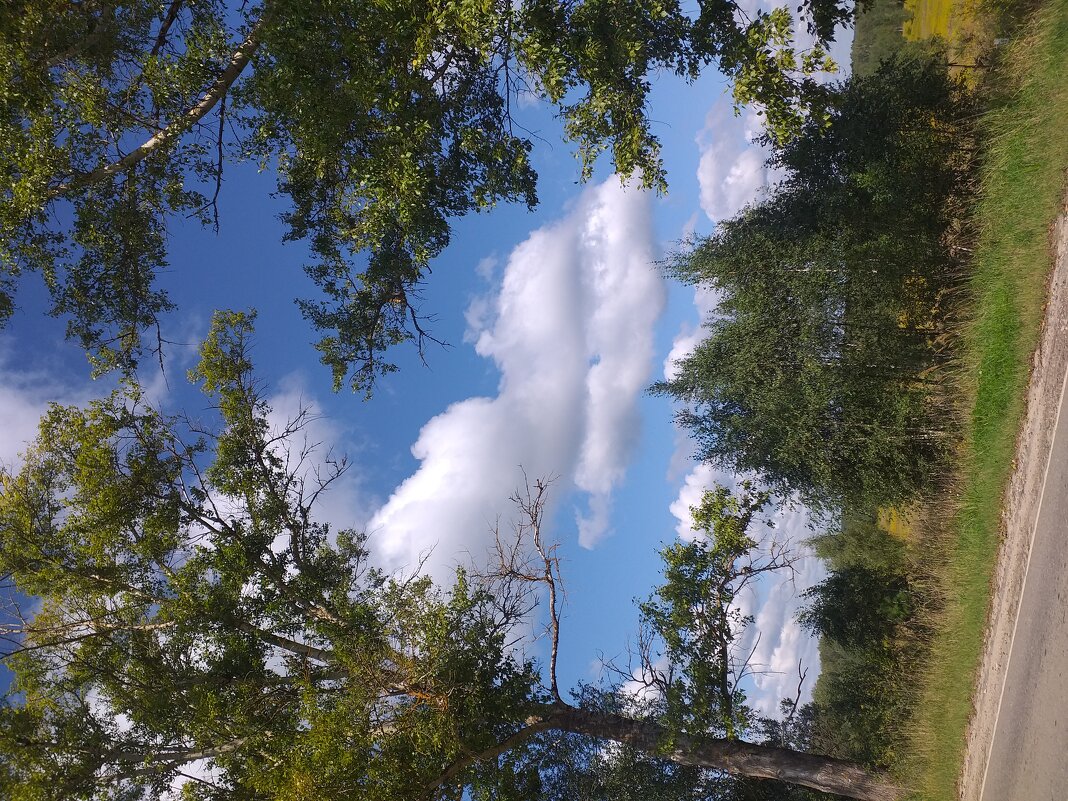 пейзаж с нежным облаком... - Галина Флора