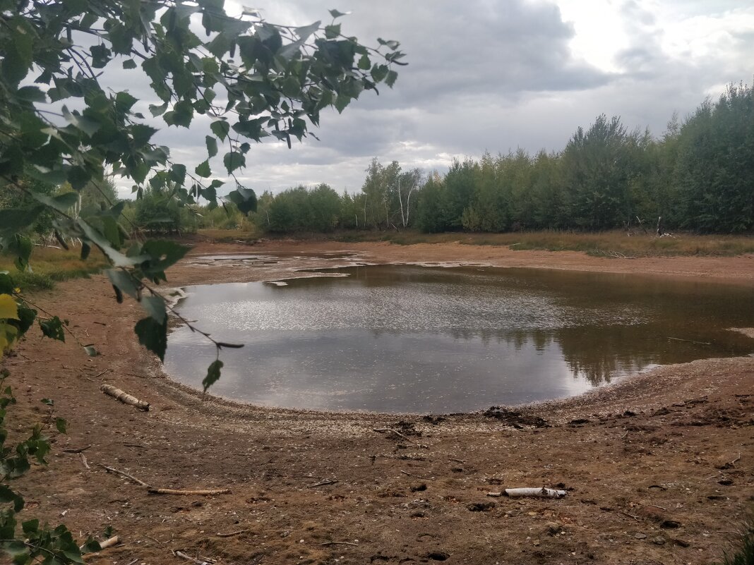 Лесное озеро - Андрей Хлопонин Лесное озеро - Андрей Хлопонин