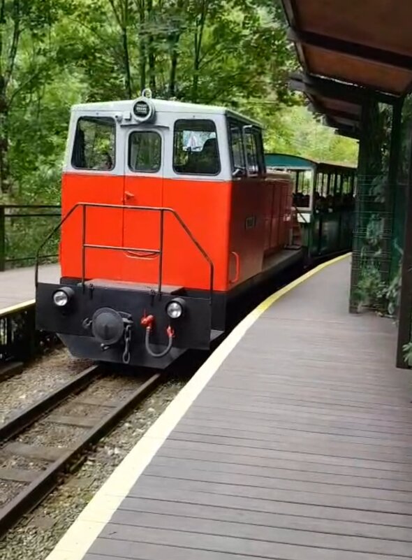 ГУАМСКОЕ УЩЕЛЬЕ - Tata Wolf