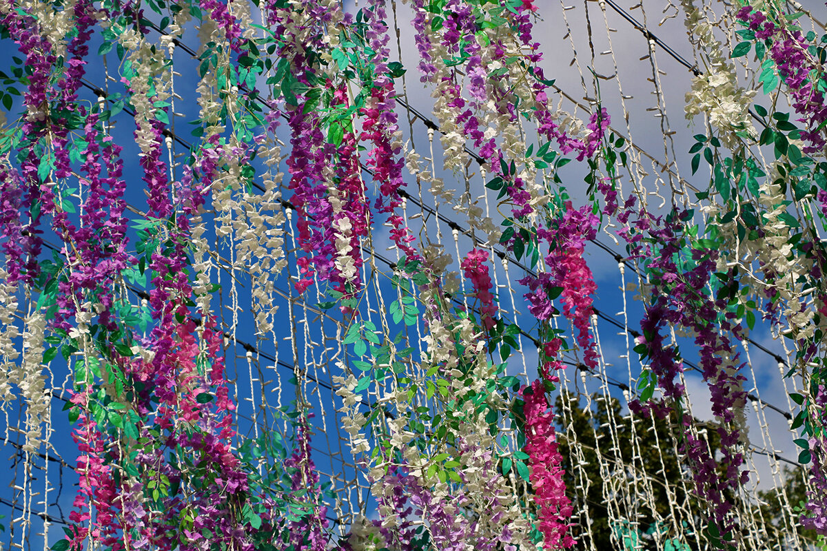 Украшение городского парка - Светлана Украшение городского парка - Светлана