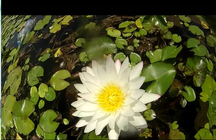 113 (90) - CLOSE WAYS ALL