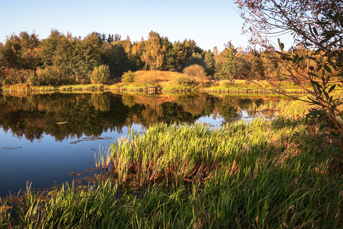 *** - Игорь Чичиль