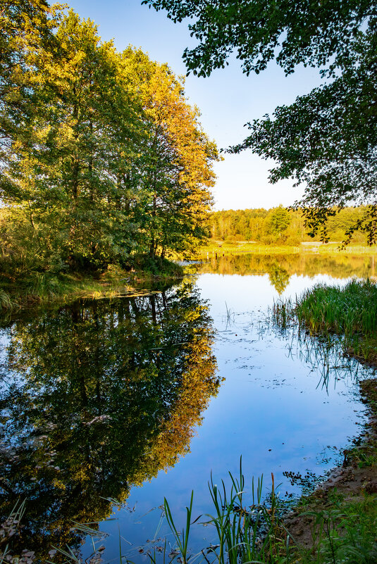 *** - Игорь Чичиль