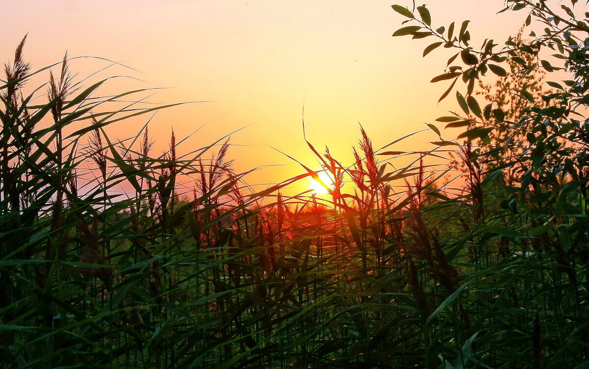 Солнце 2 - Игорь Тельцов