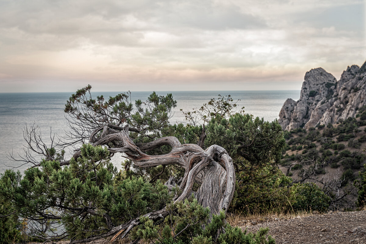 **** - Вячеслав К