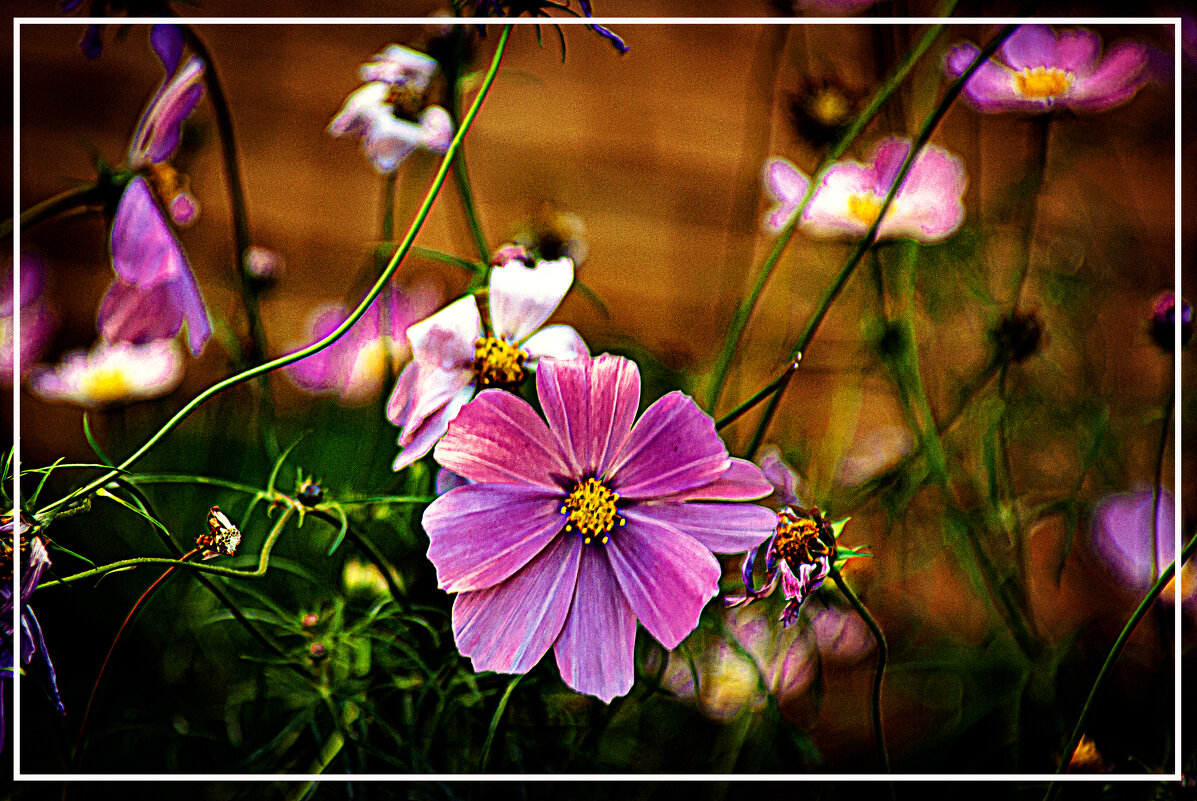 Осеннее - Владимир Кроливец