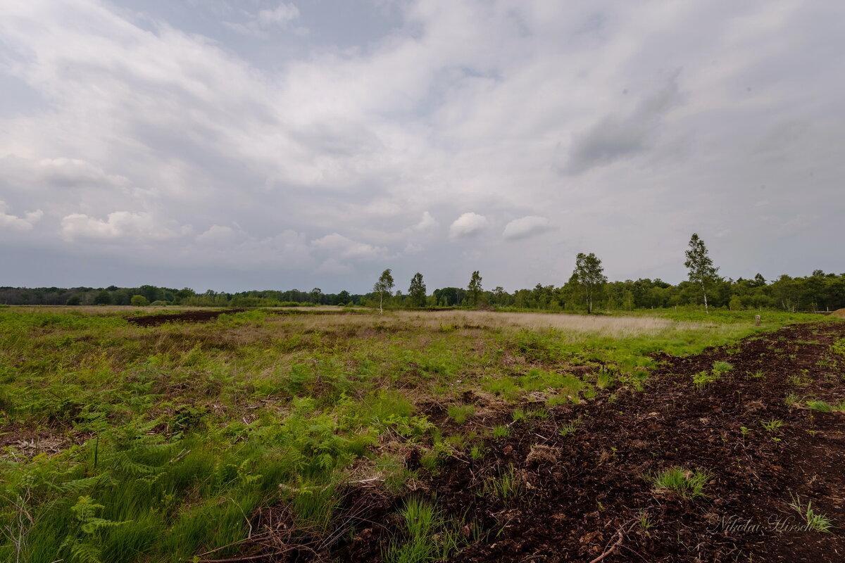 Будущая тропа... - Николай Гирш