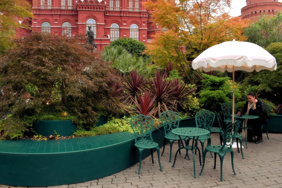 Отдых в тропиках в центре столицы. - Татьяна Помогалова