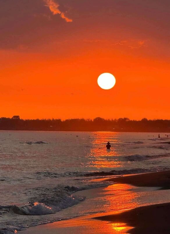 На море - vladimir 