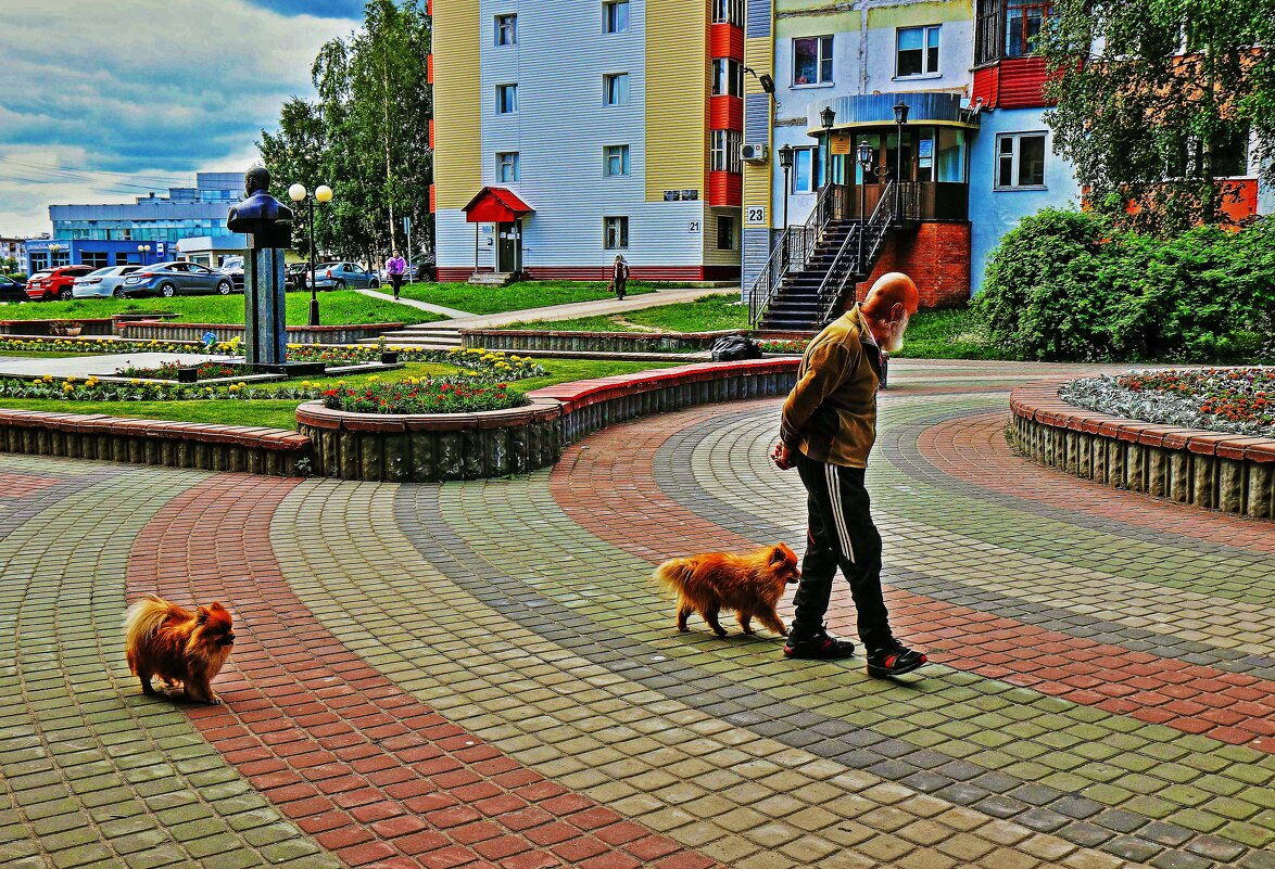 Август...Дедушка и собачки! - Владимир 