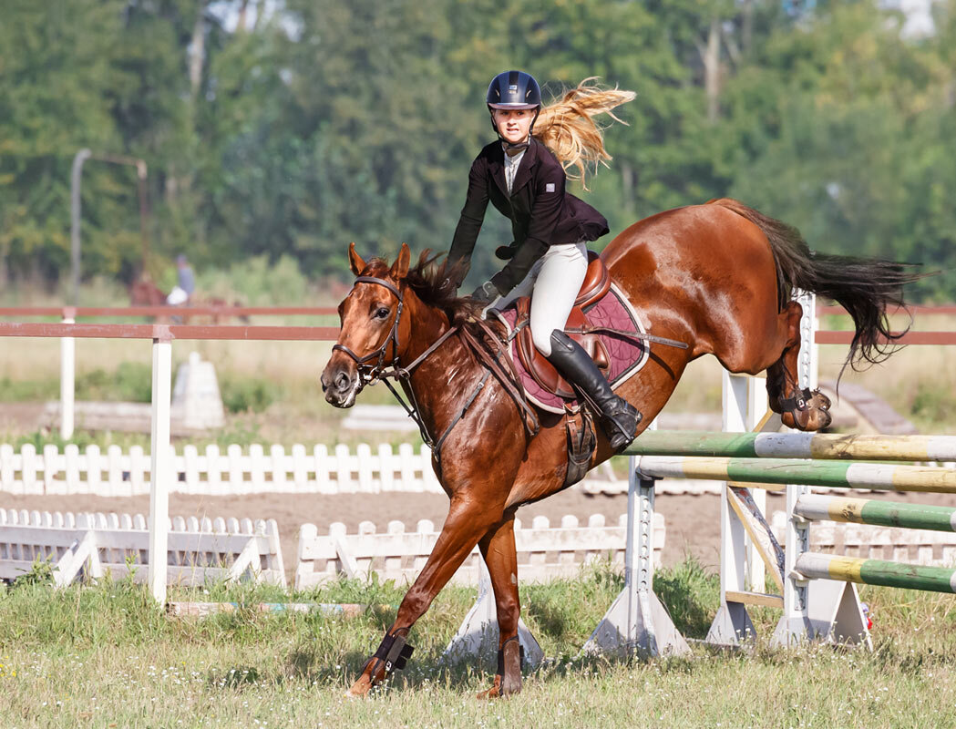 Конкур - SanSan 