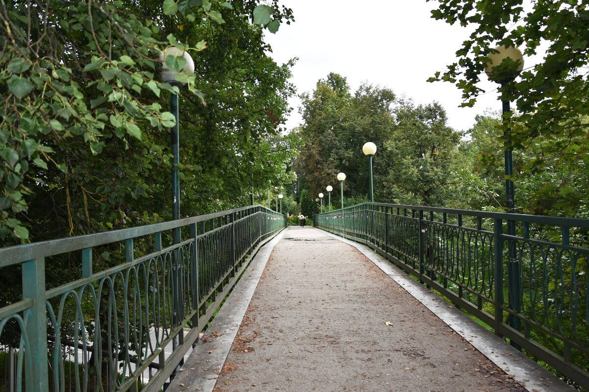 Московская область. Город Звенигород. Пешеходный мост. - Наташа *****