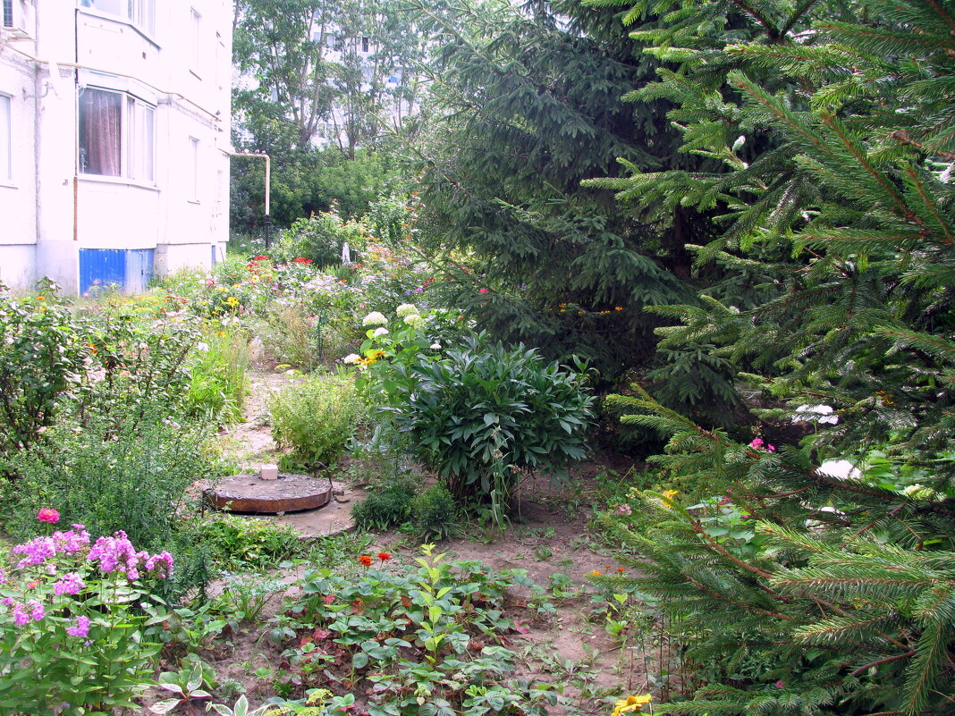 Цветы. - Владимир Драгунский