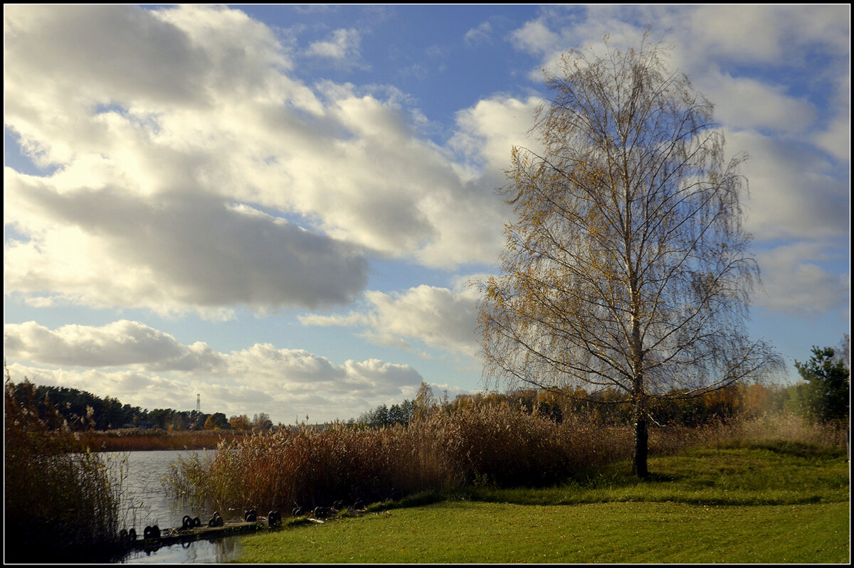 ....уж небо осенбю дышало... - Aleksandr Gal ....уж небо осенбю дышало... - Aleksandr Gal