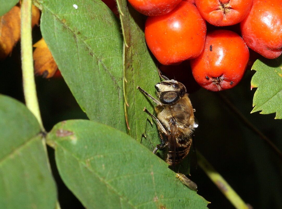 ... - Андрей Катков