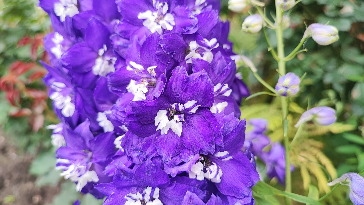 ,,, - Сергей Тимоновский ,,, - Сергей Тимоновский