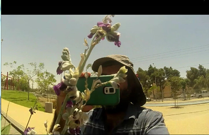 113 (95) - CLOSE WAYS ALL