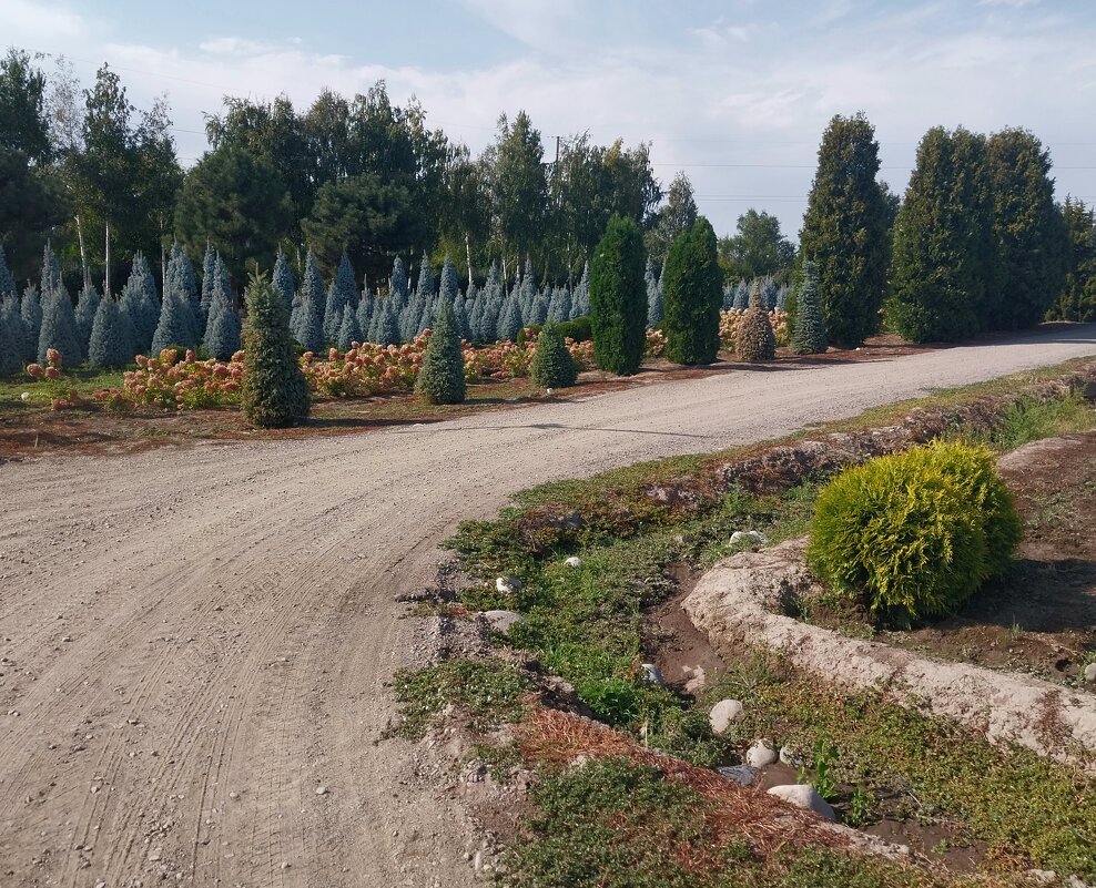 Talgar. - Murat Bukaev 