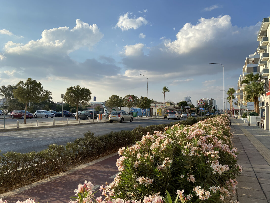 Кипр. Ларнака - Андрей 