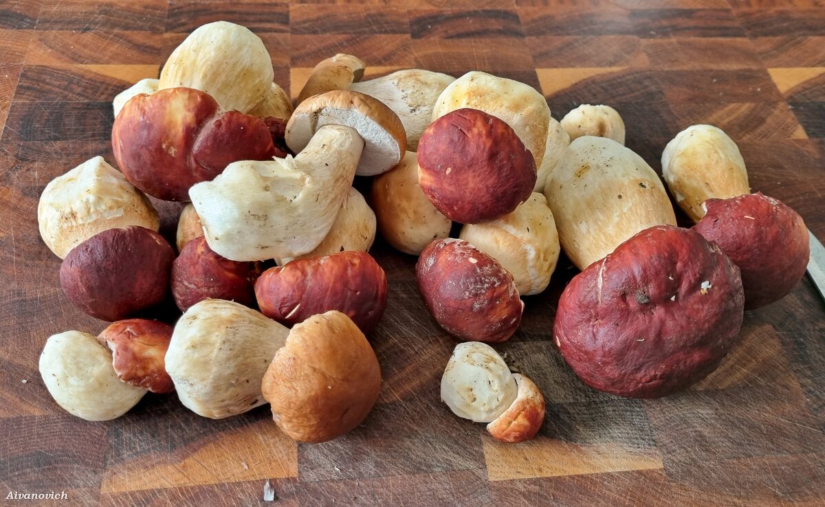 Сам не поверил. - Андрей Андреев Андреев Сам не поверил. - Андрей Андреев Андреев